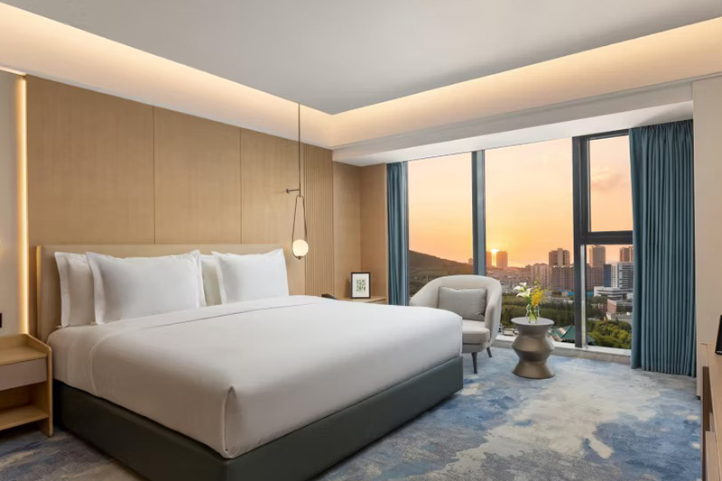 Luxury Hotel Projects